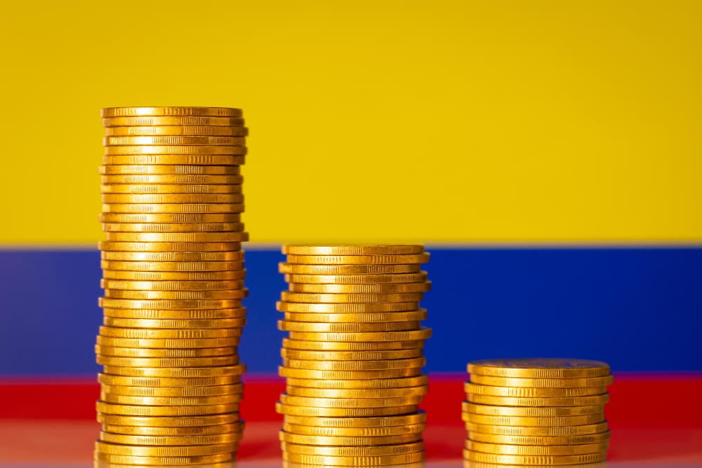 Dian Colombia | Pagui